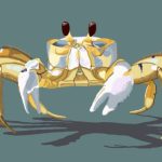 Group logo of Research Scholars, Marine Science Alumni