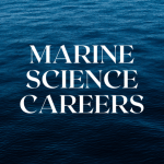 Group logo of Marine Science Careers Support